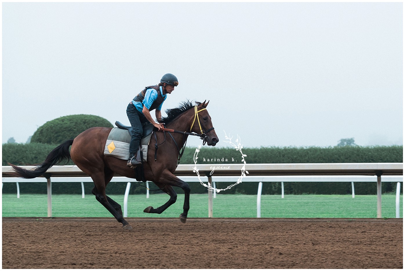 Texas Racehorse Photography