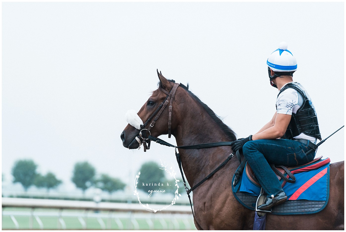 Sam Houston Race Track Equine Photography 