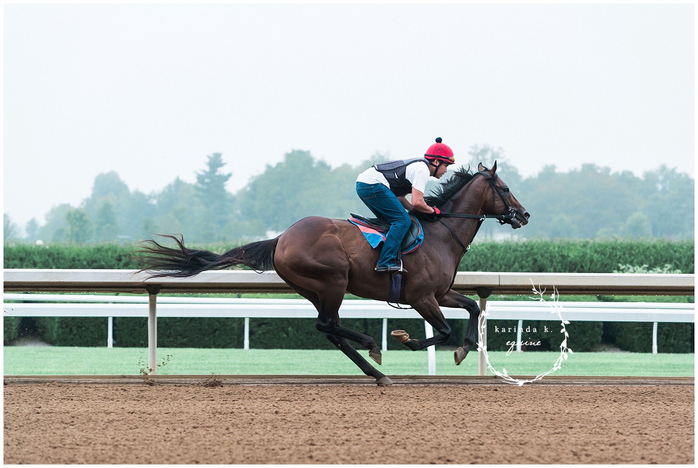 Sam Houston Race Track Equine Photography 