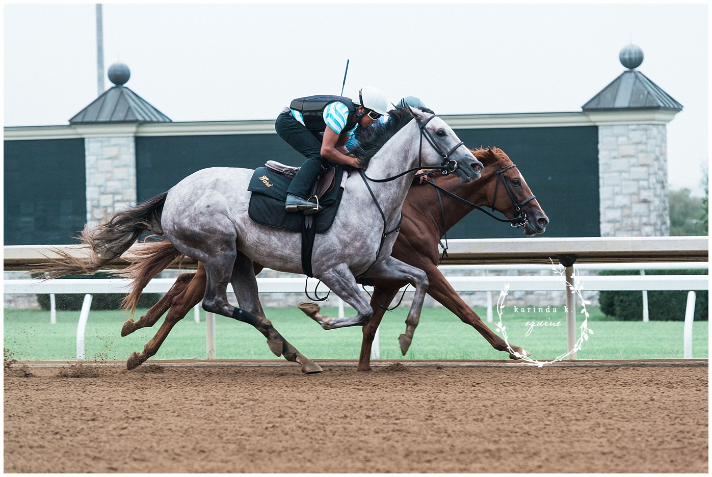 Race Horse Pictures Texas