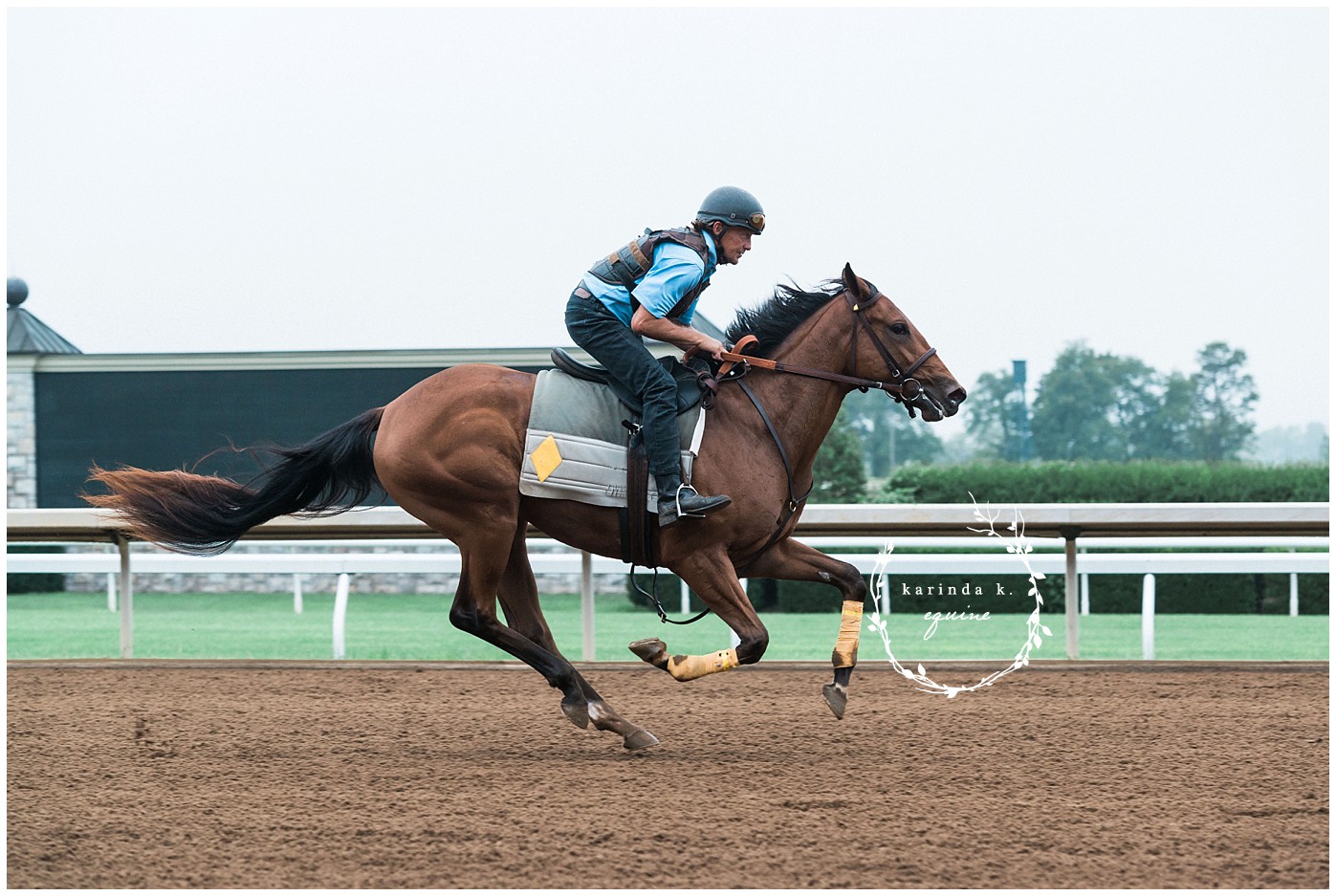 Race Horse Pictures Texas