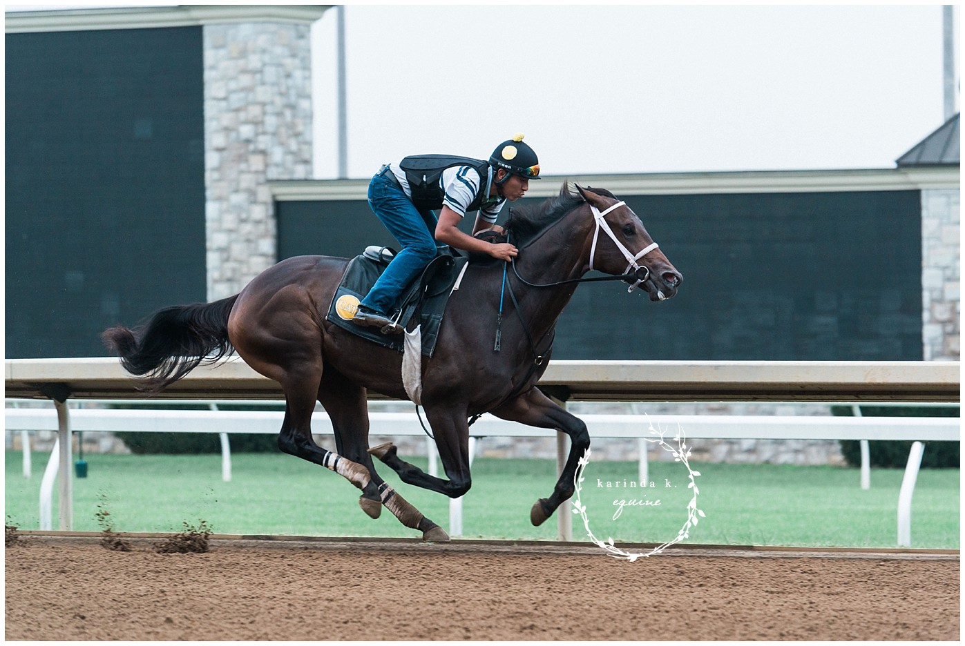 Race Horse Photographer in Texas