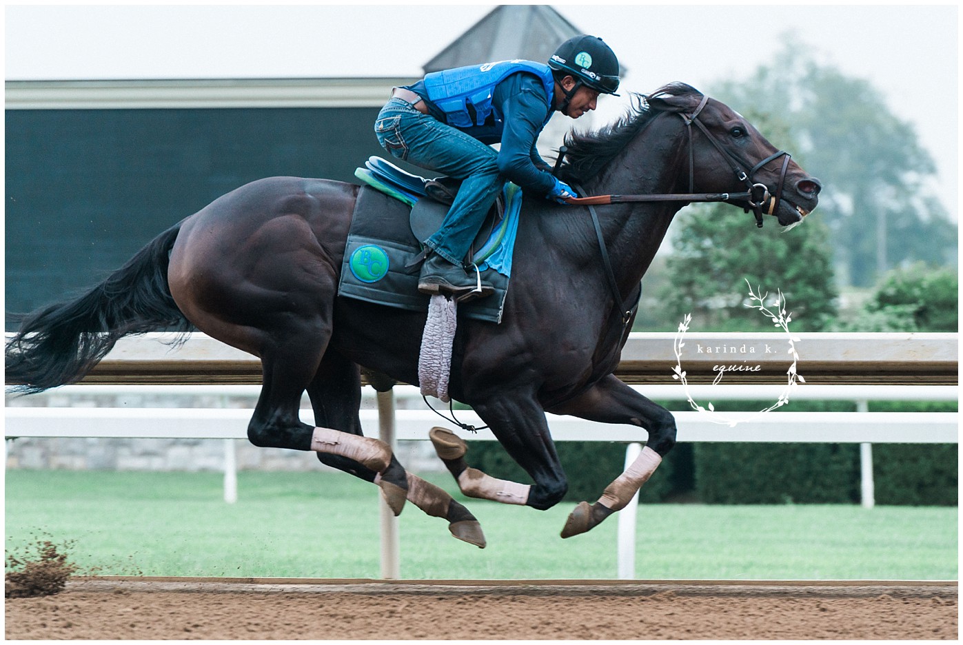 Race Horse Photographer in Texas