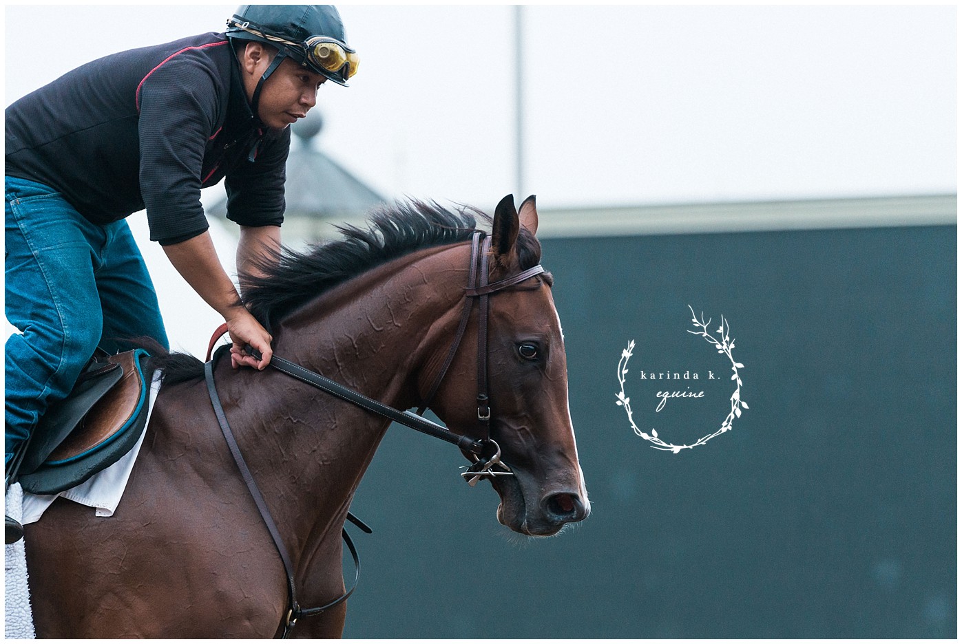 Texas Equine Photographer 