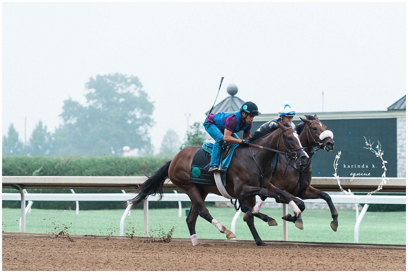 Texas Equine Photographer 