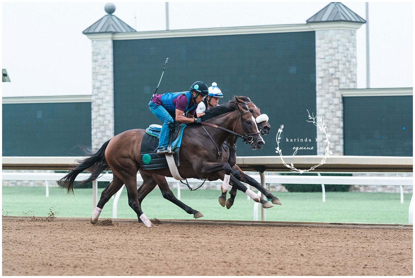 Best Race Horse Photographer 