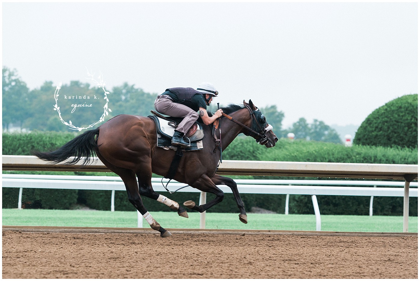 Texas Thoroughbred Race Horse Photography 