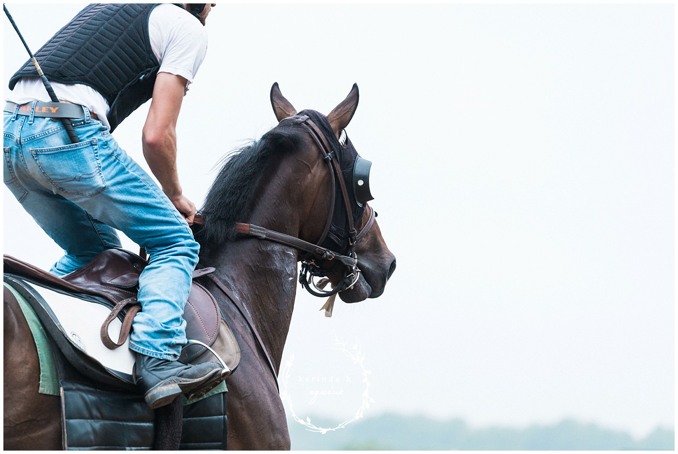 Texas Thoroughbred Race Horse Photography 