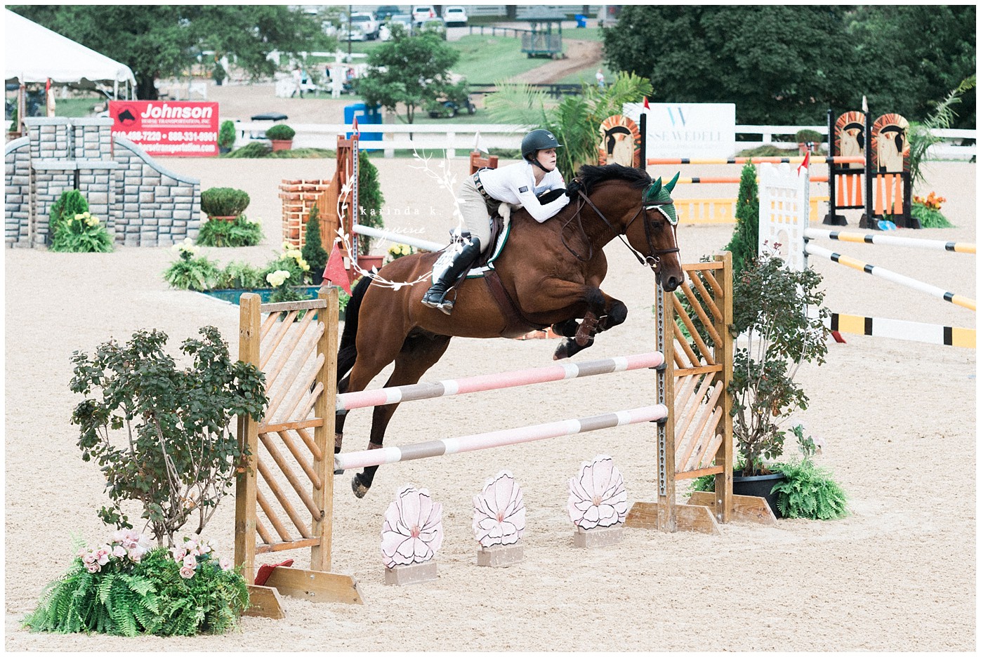Texas Best Equine Photographer 