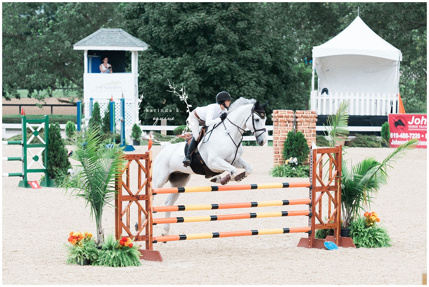 Texas Equine Photography