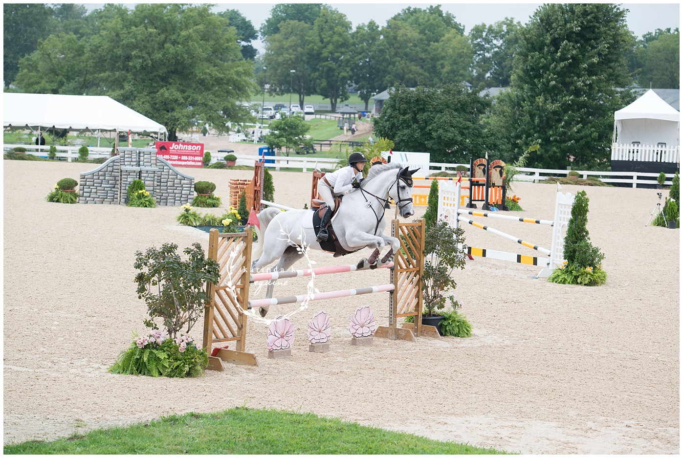 Texas Best Equine Photographer 