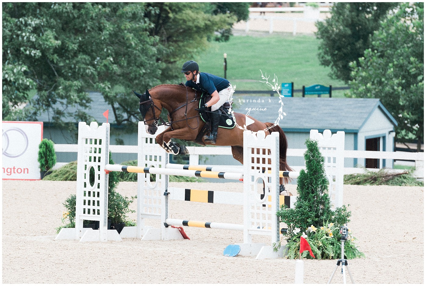 Horse Show Photographer 