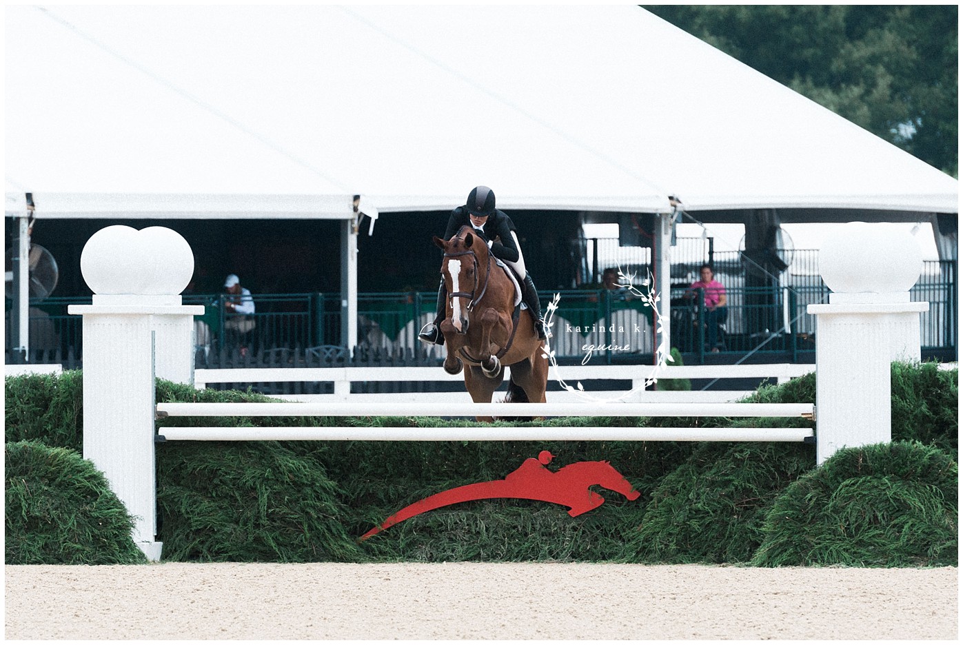 Horse Show Photographer 