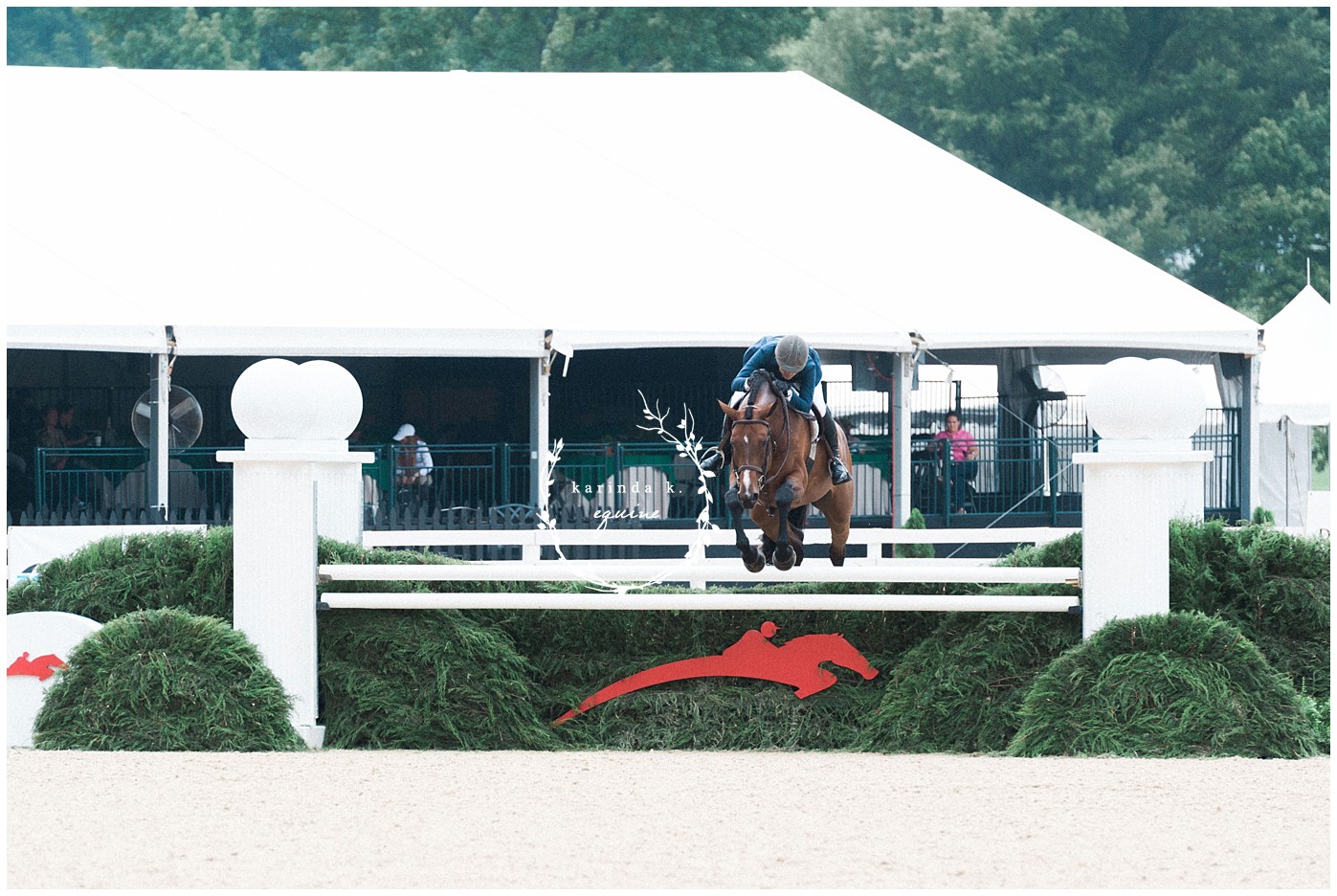 Texas Horse Show Photographer