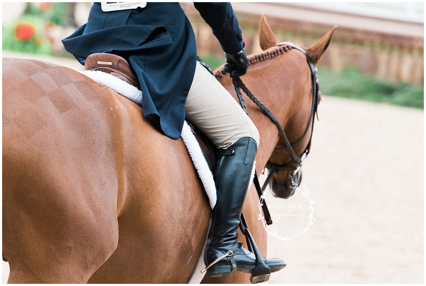 Great Southwest Equestrian Center Photographer 
