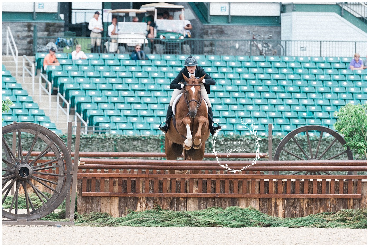 Houston Equine Photography 
