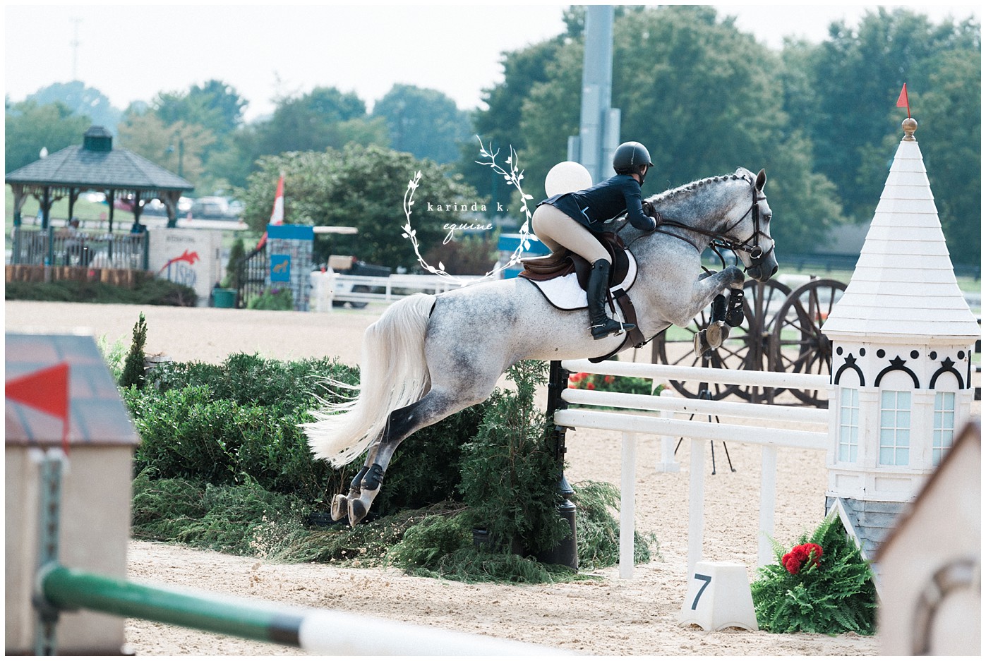 Houston Equine Photography 