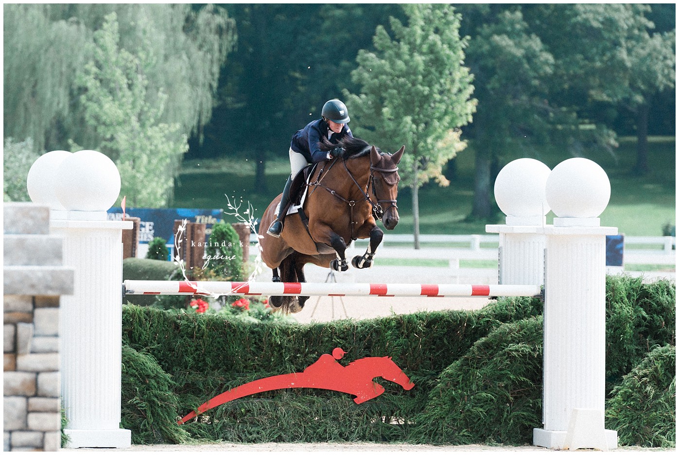 Hunter Jumper Photography 