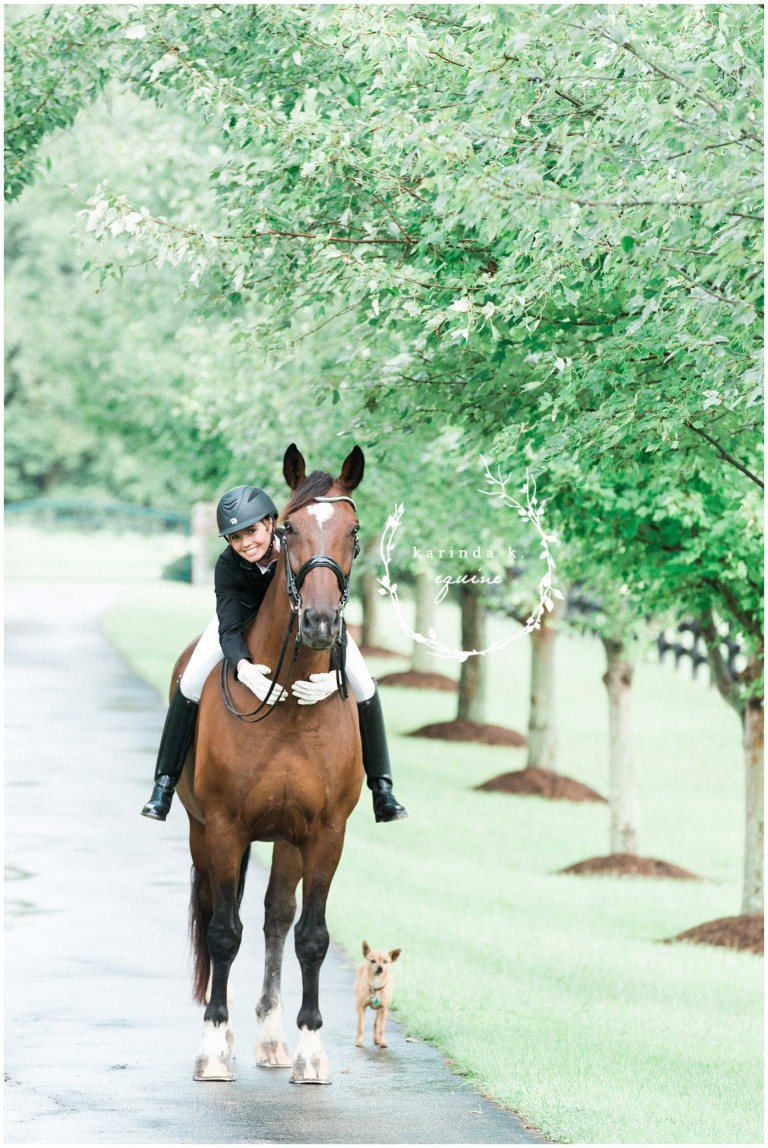 Texas Equine Photography