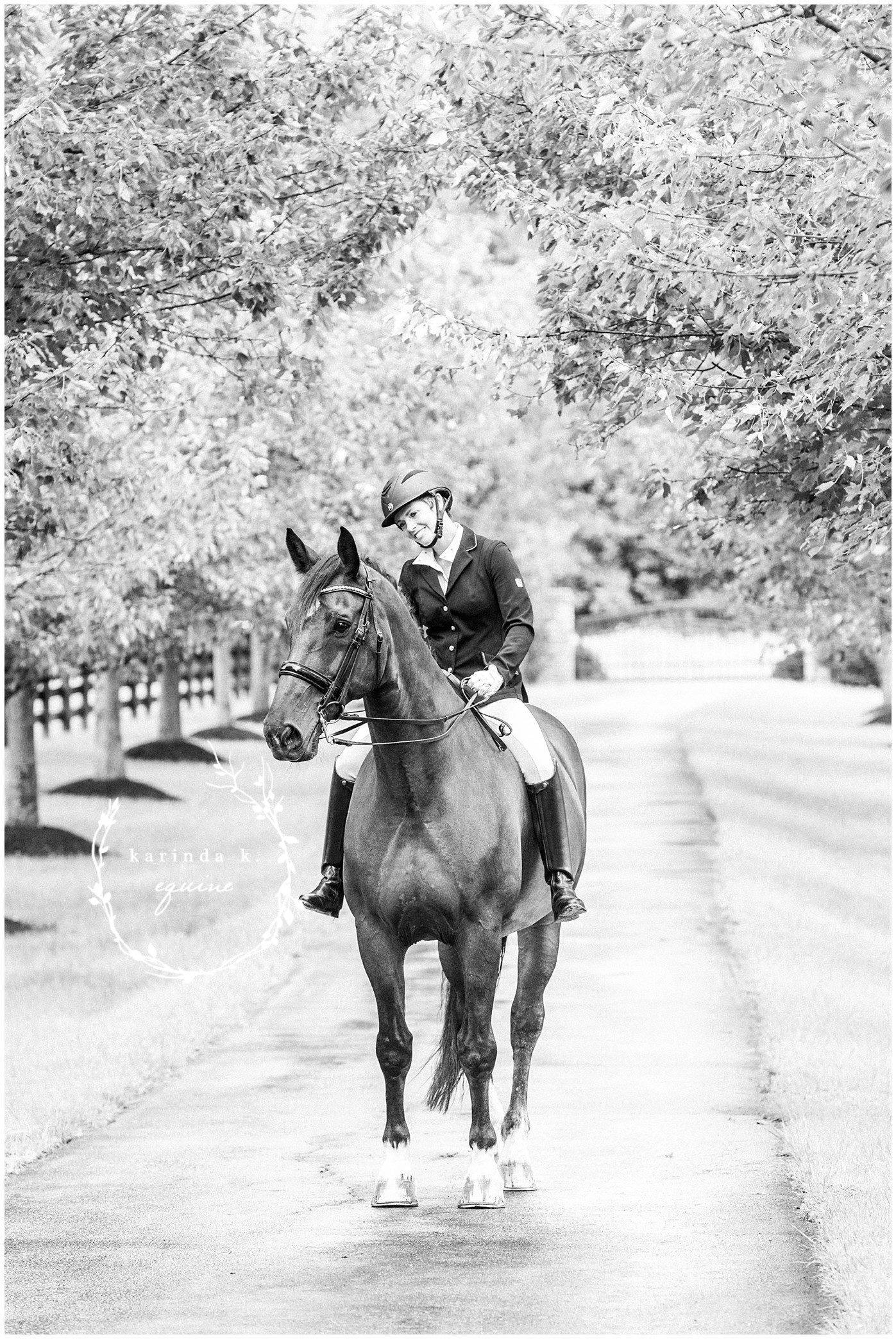 Texas Equine Photography