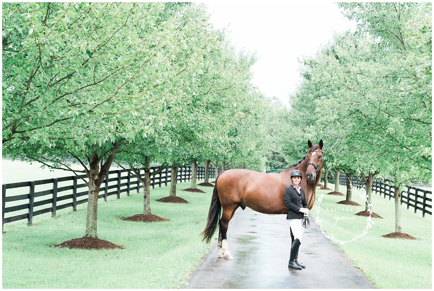 Best Horse Photographer in Texas