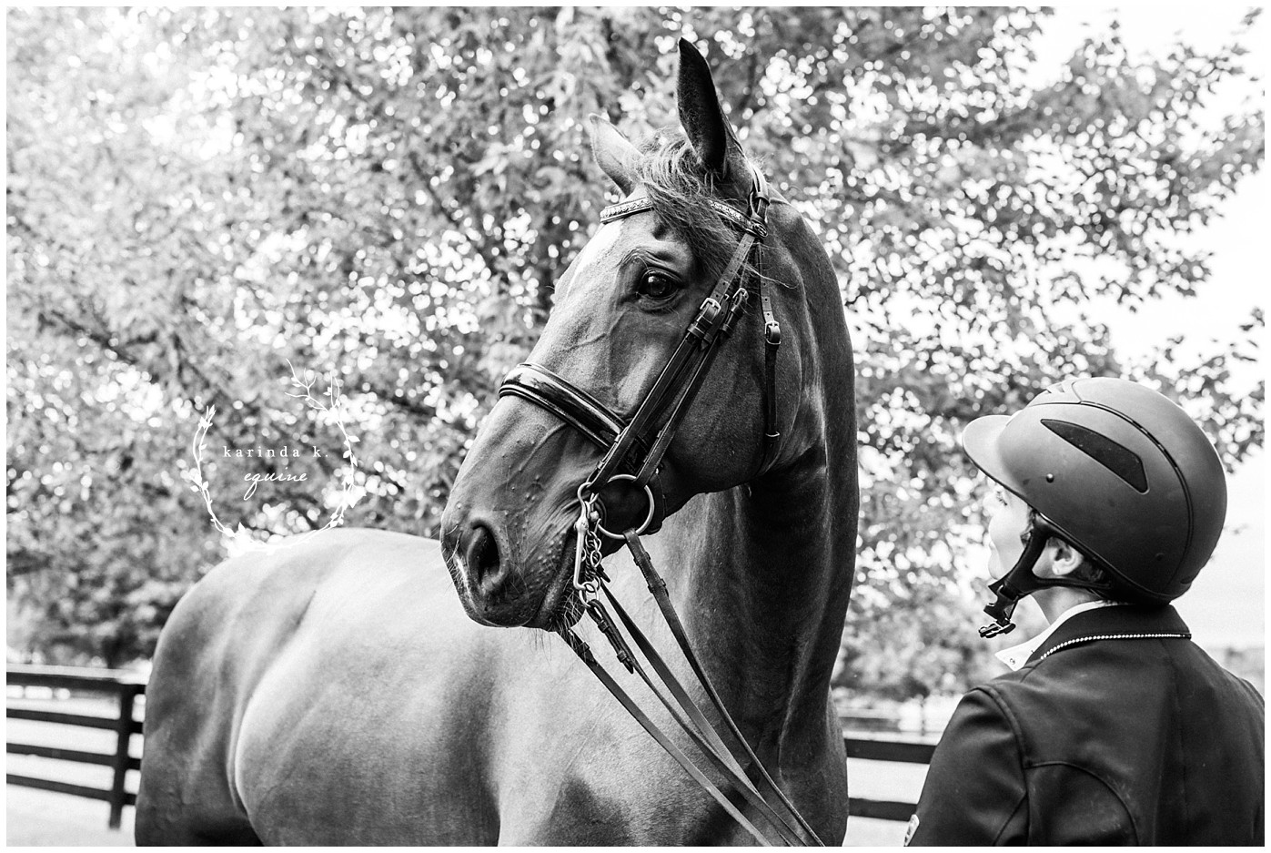 Dressage Photographer Texas 