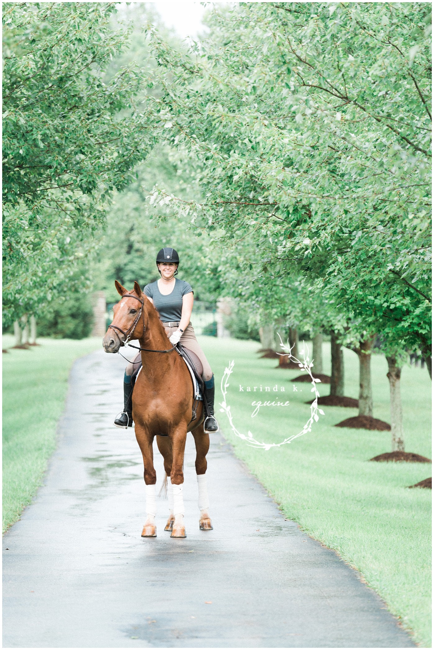 Texas Best Horse Photographer 