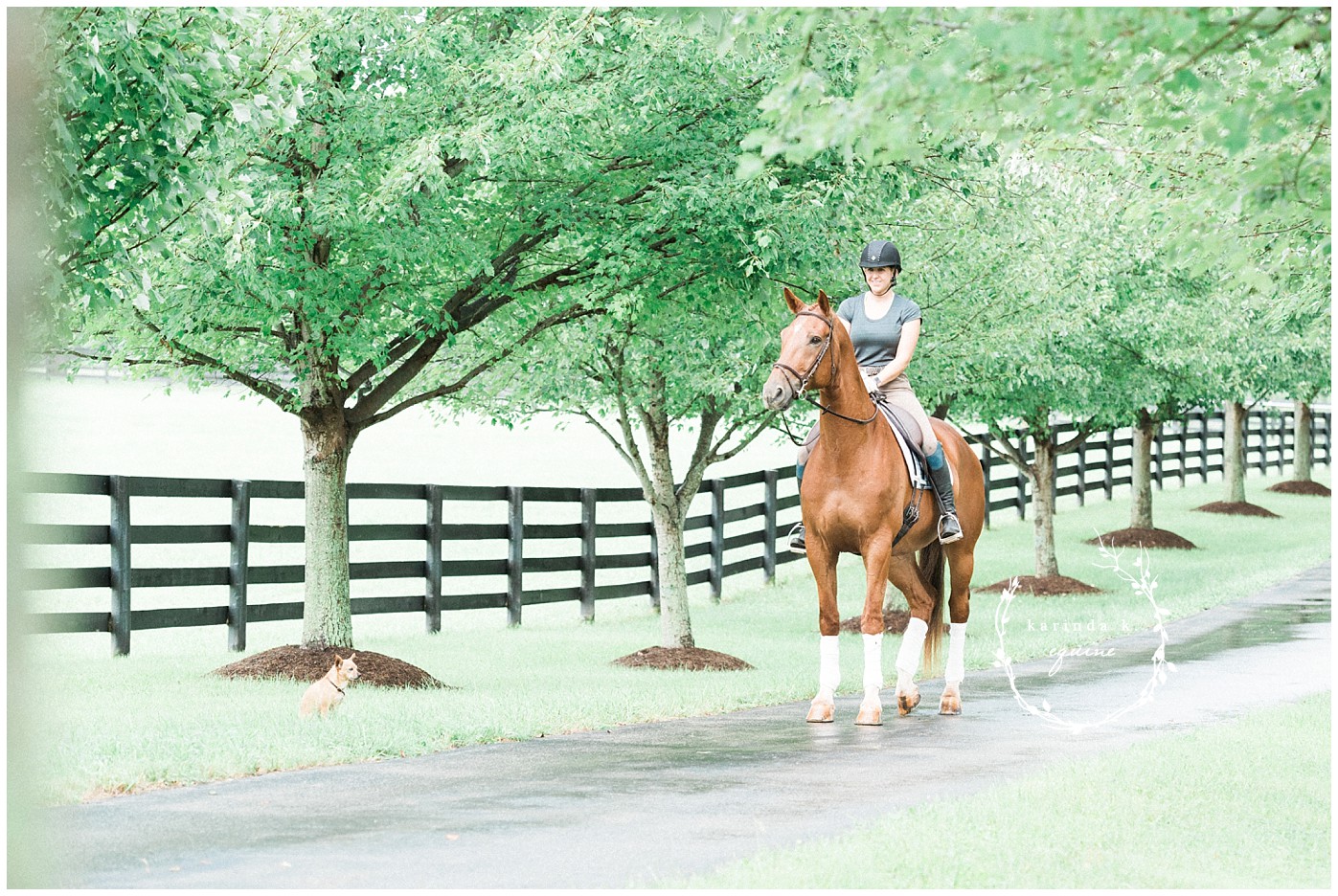Texas Best Horse Photographer 