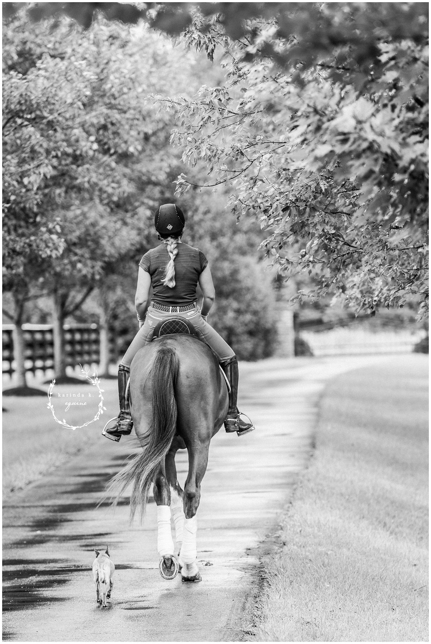Houston Equine Dressage Photographer 