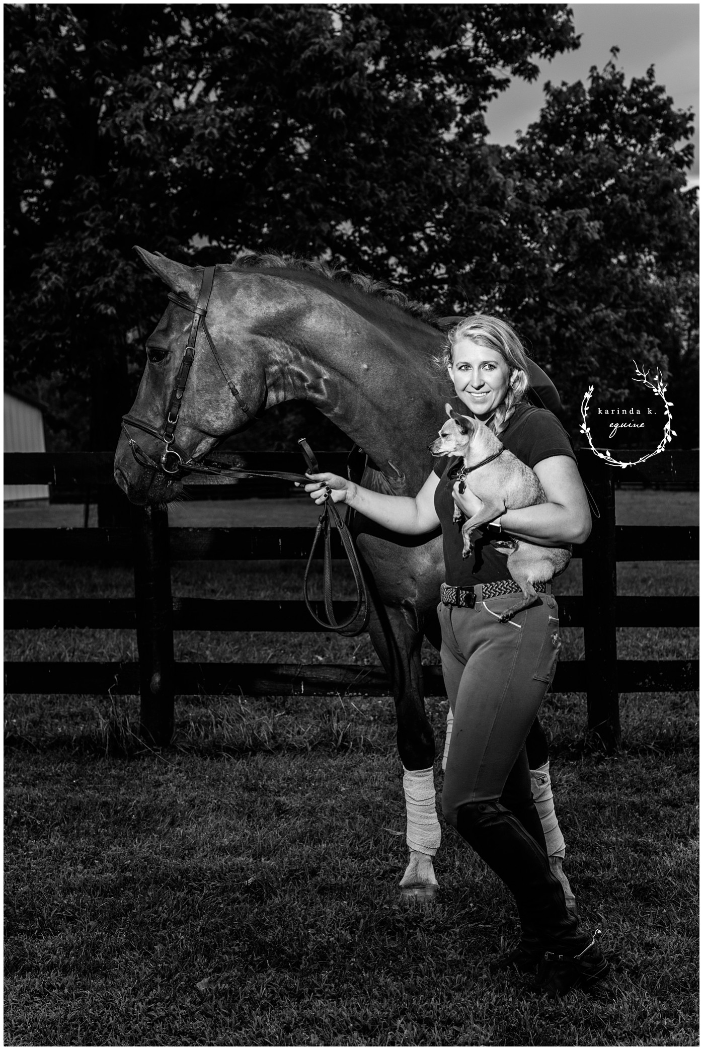 Touchstone Farm Lexington Kentucky Equine Photography 