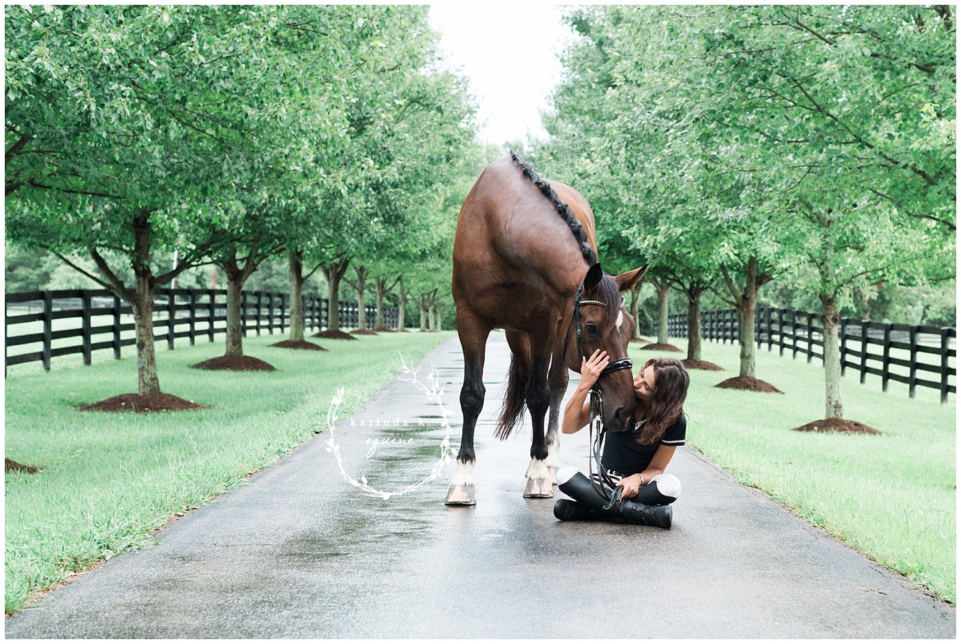 Texas Best Horse Photographer 