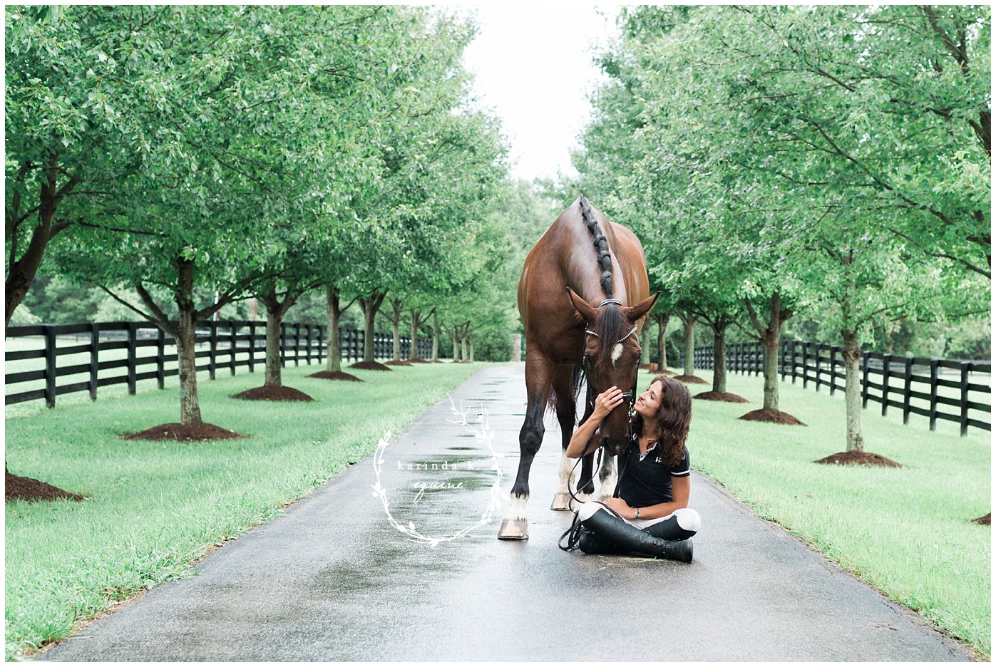 Houston Texas Equine Photography 