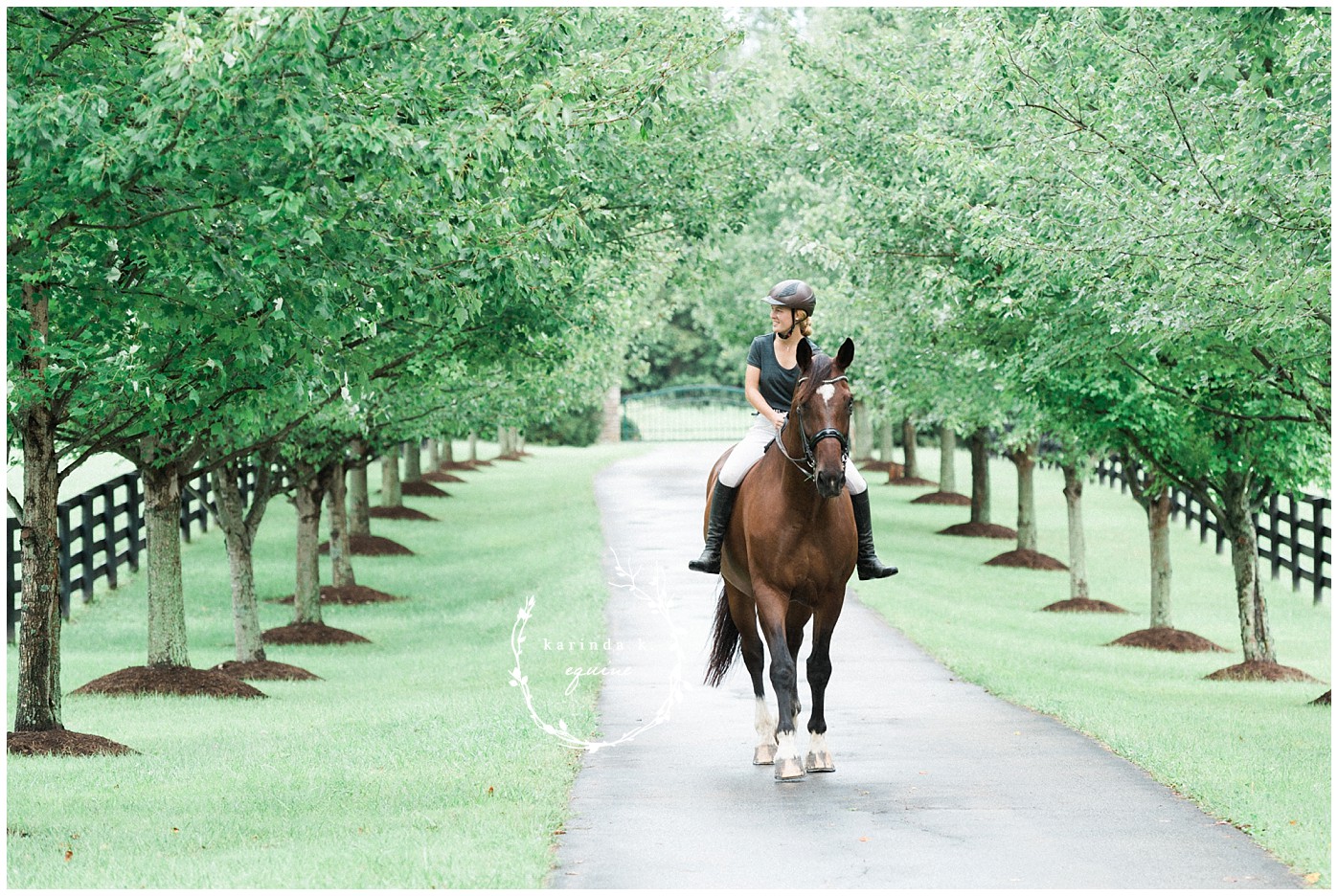Best Equine Photographer in Texas 