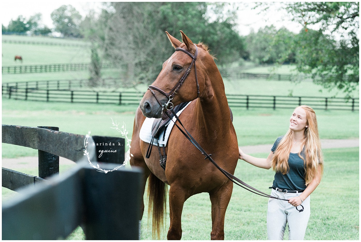 Lexington Kentucky Equine Photography 