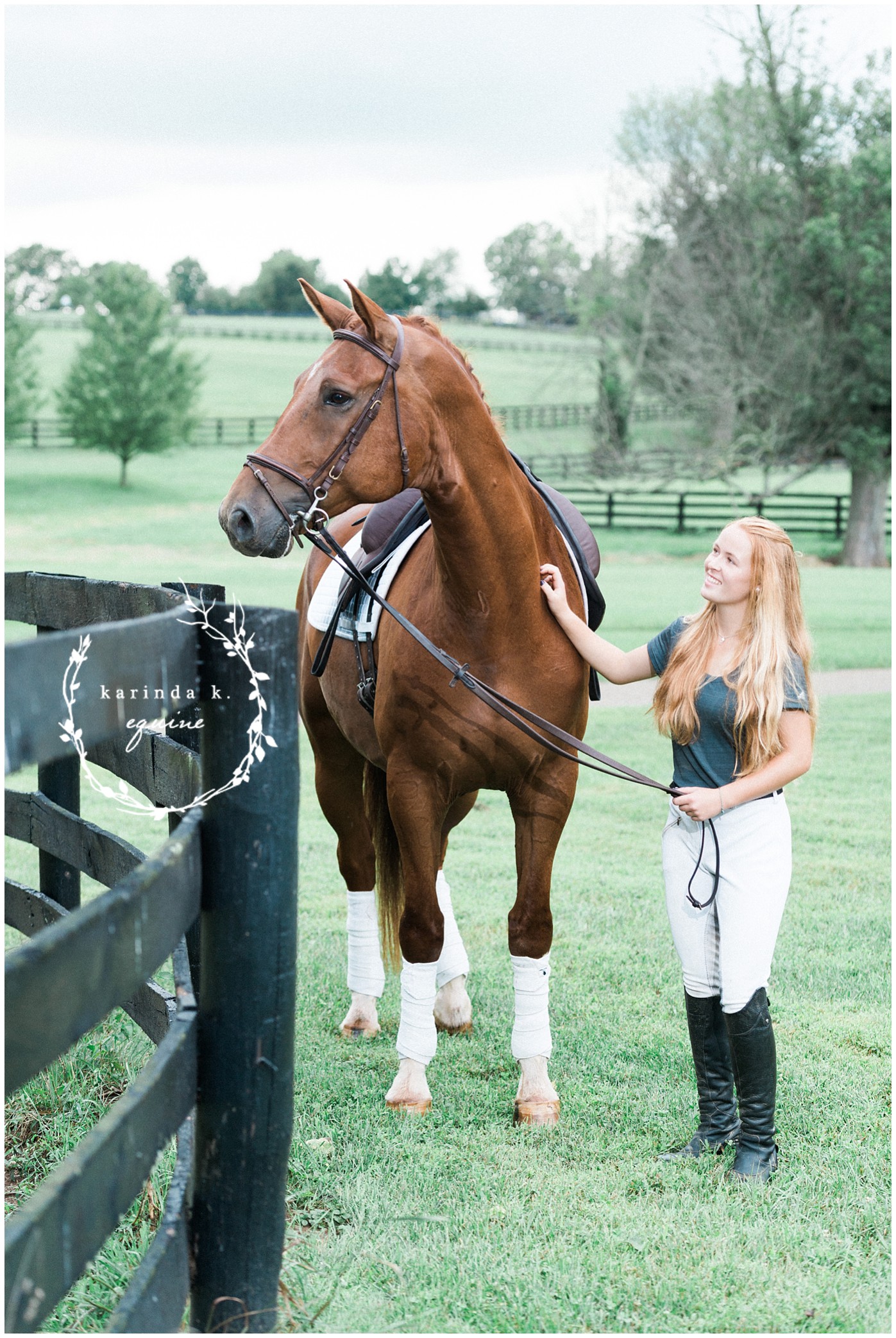 Lexington Kentucky Equine Photography 