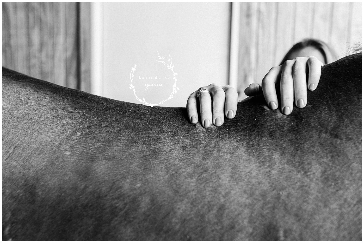 The Woodlands Equine Vet