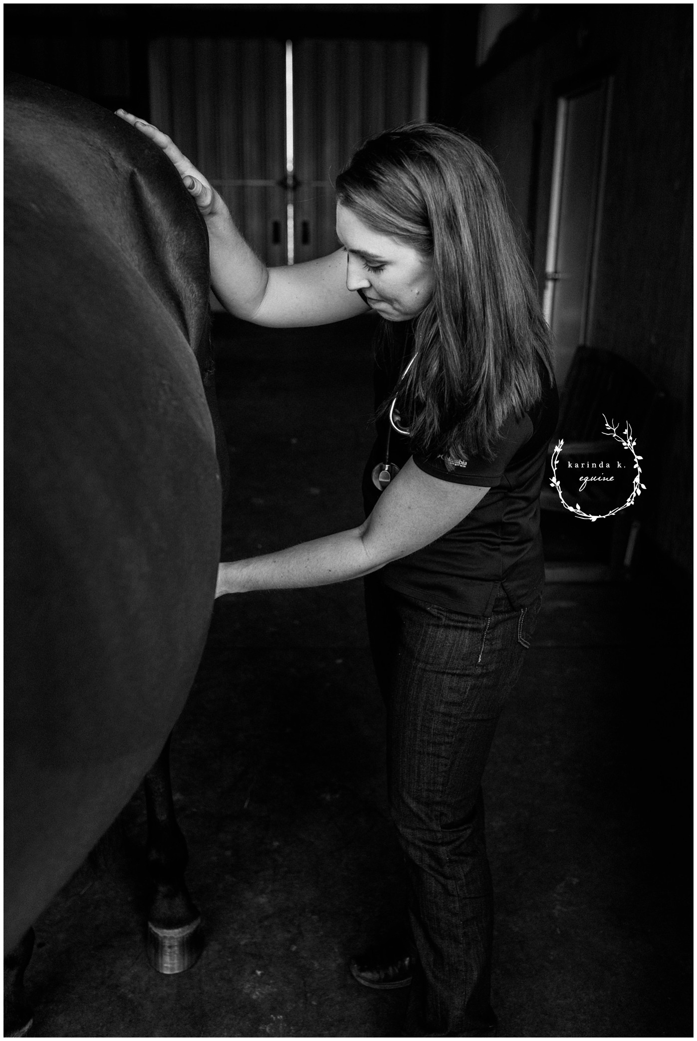 Horse Veterinary Services in Houston