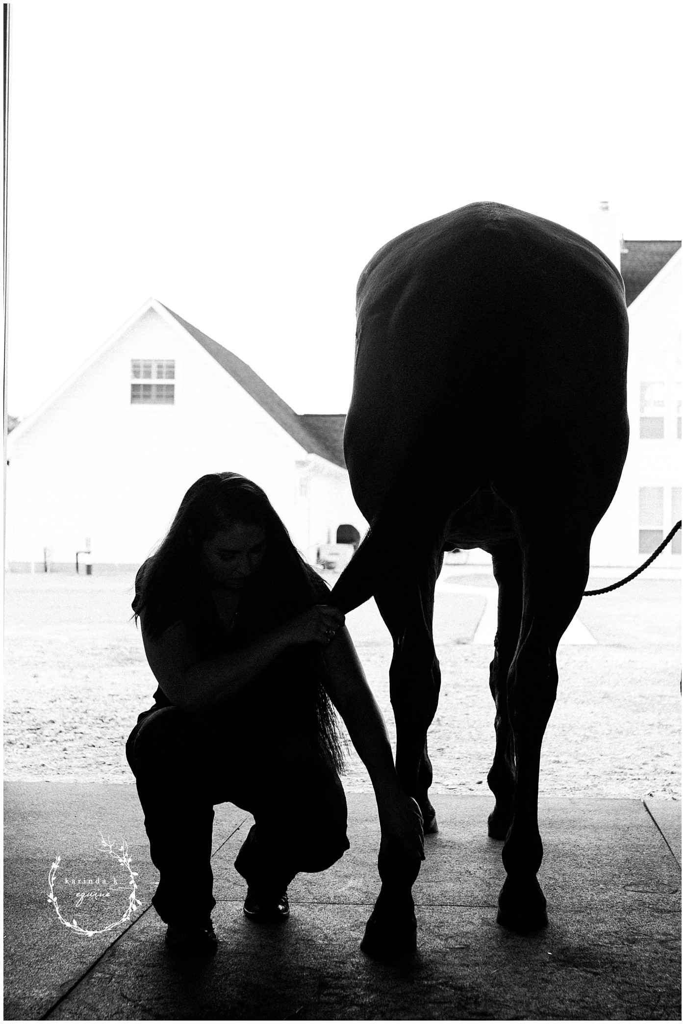 Horse Veterinary Services in Houston