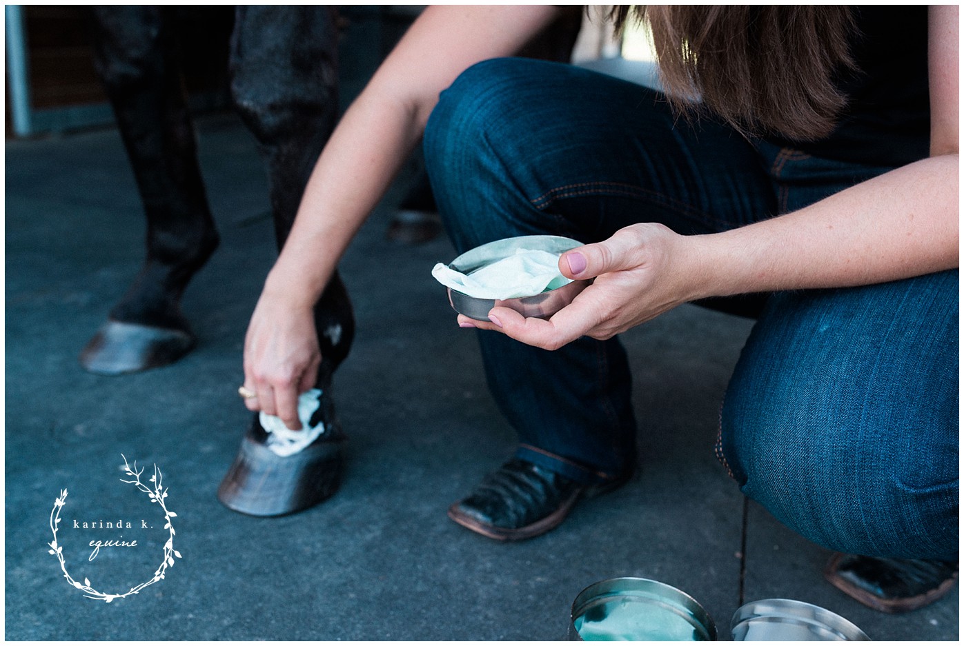 Who is the Best Equine Vet in Katy