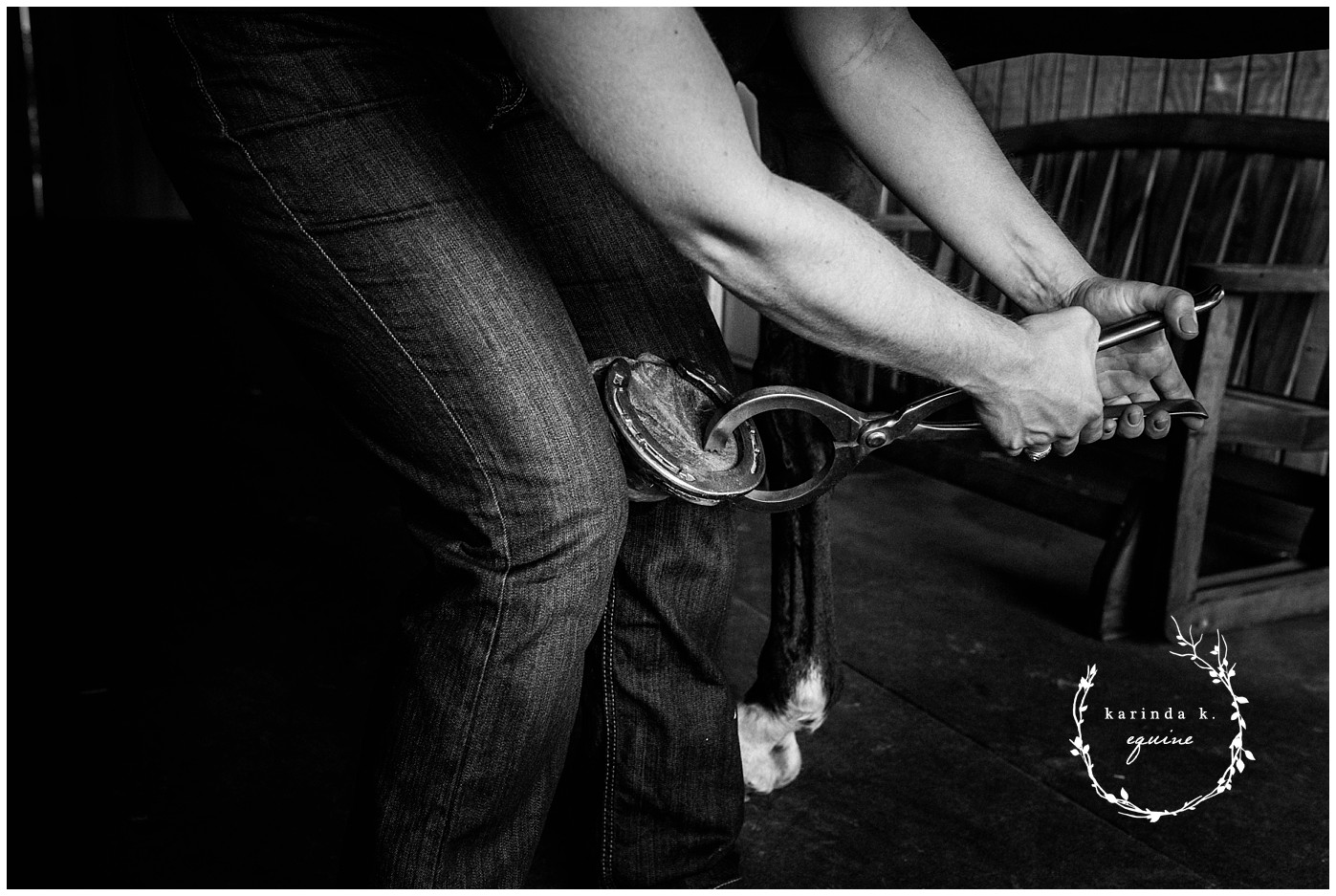 Equine Sports Medicine Cypress Texas 