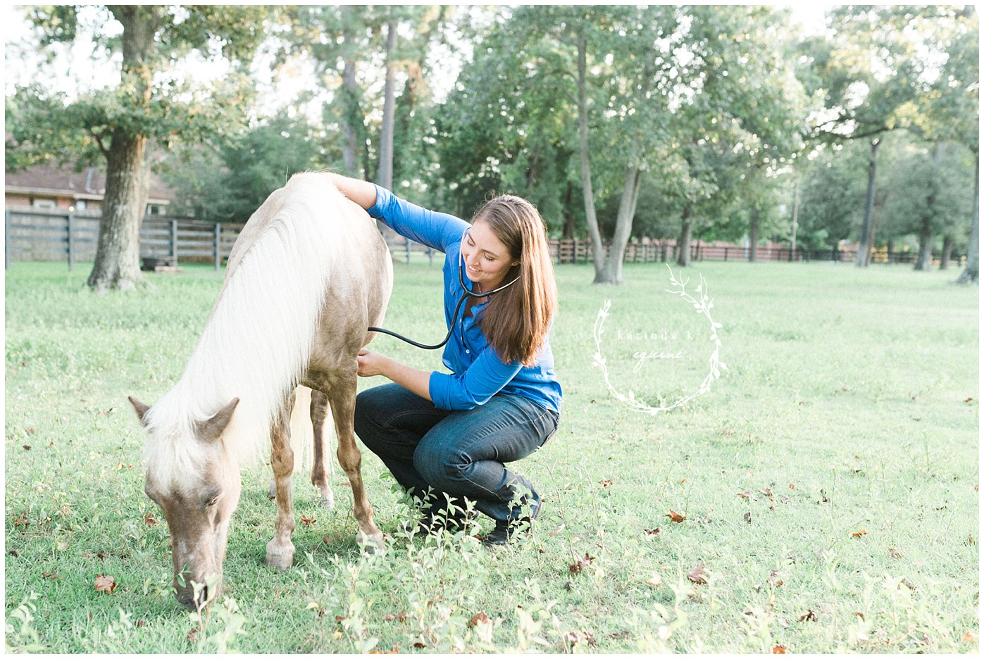 Houston Equine Veterinarian 