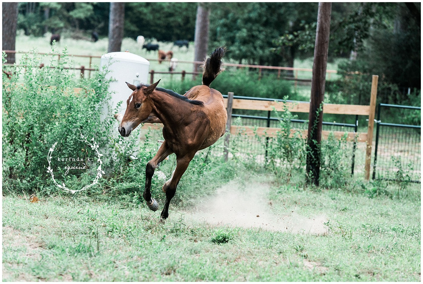 Supremat OLD Isabella Farm