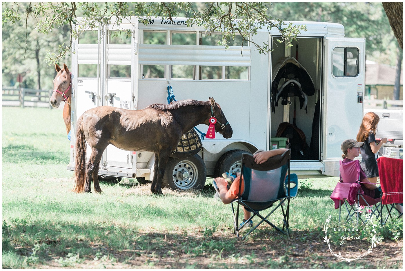 Houston Dressage Society Photography 