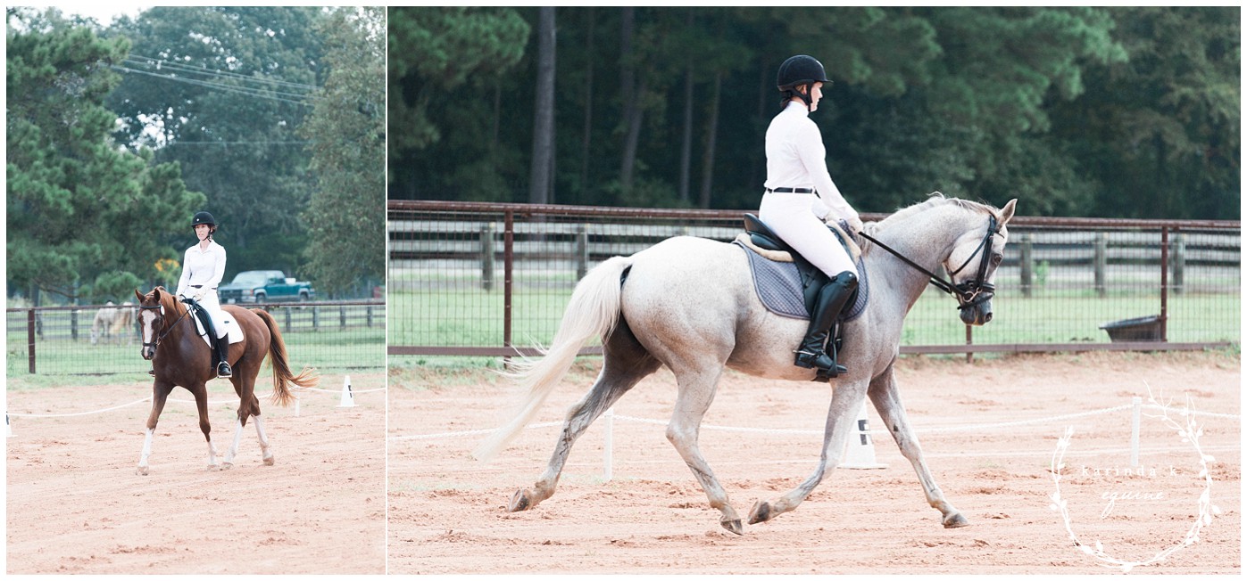 Texas Horse Show Photographer