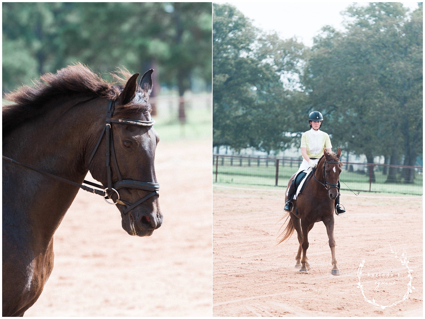 Texas Horse Show Photographer 