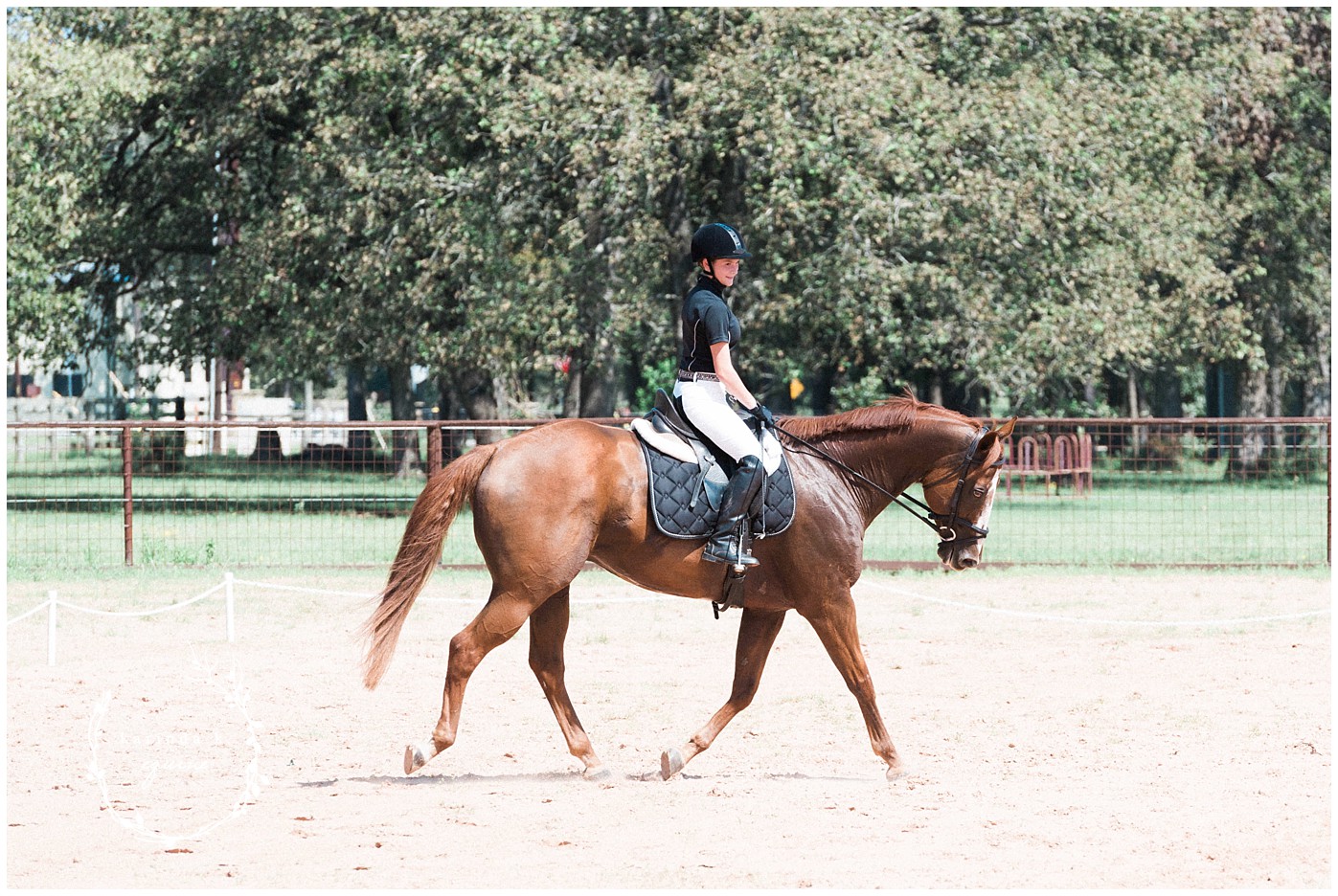 Houston Horse Photography 