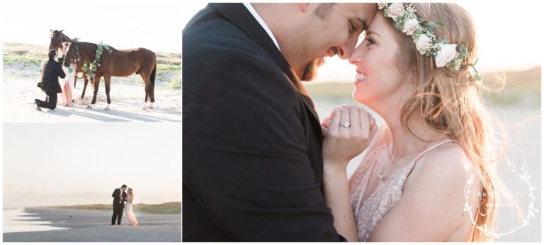 Proposal with Horses