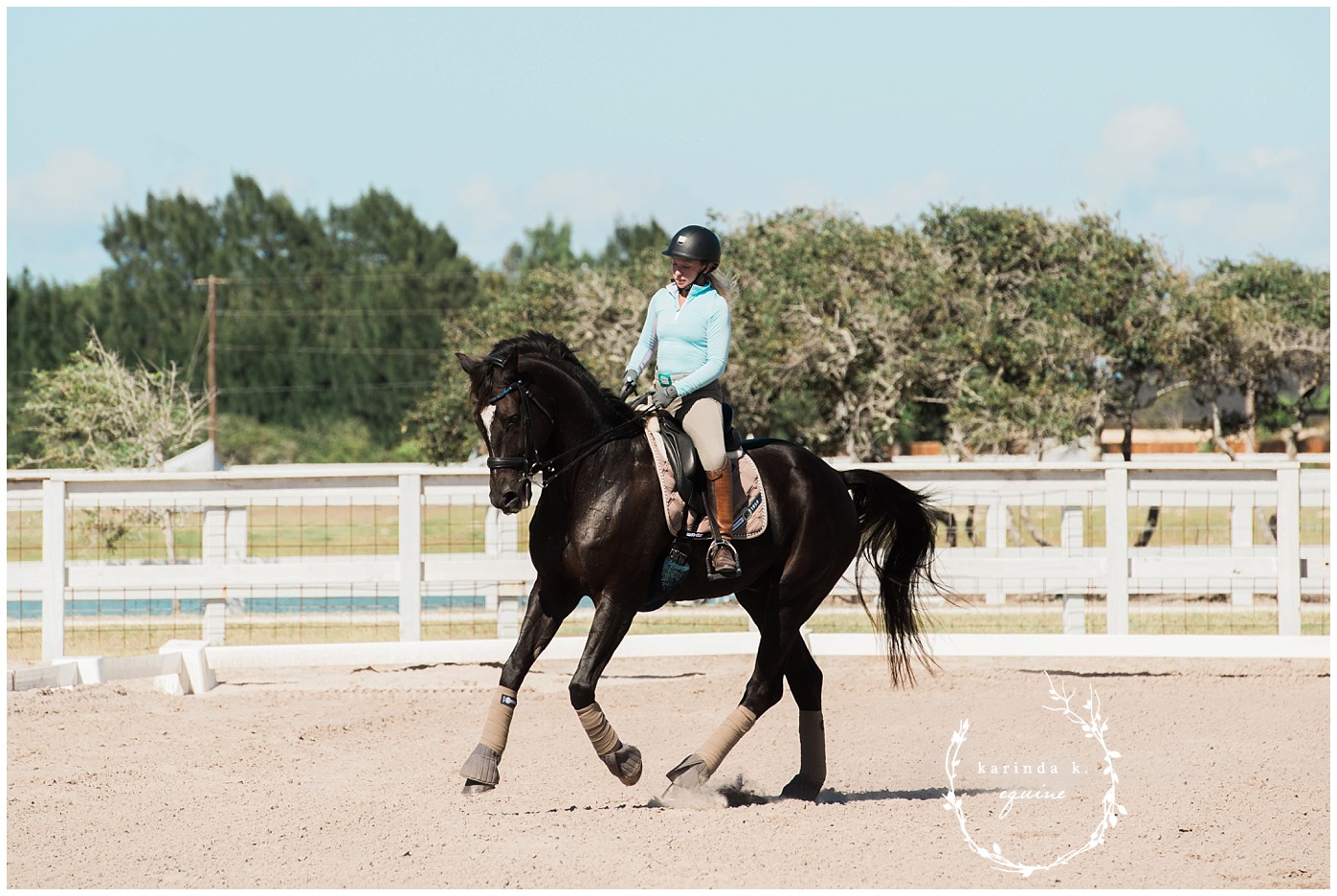 CEC Elite Training Dressage Horse Corpus Christi, TX