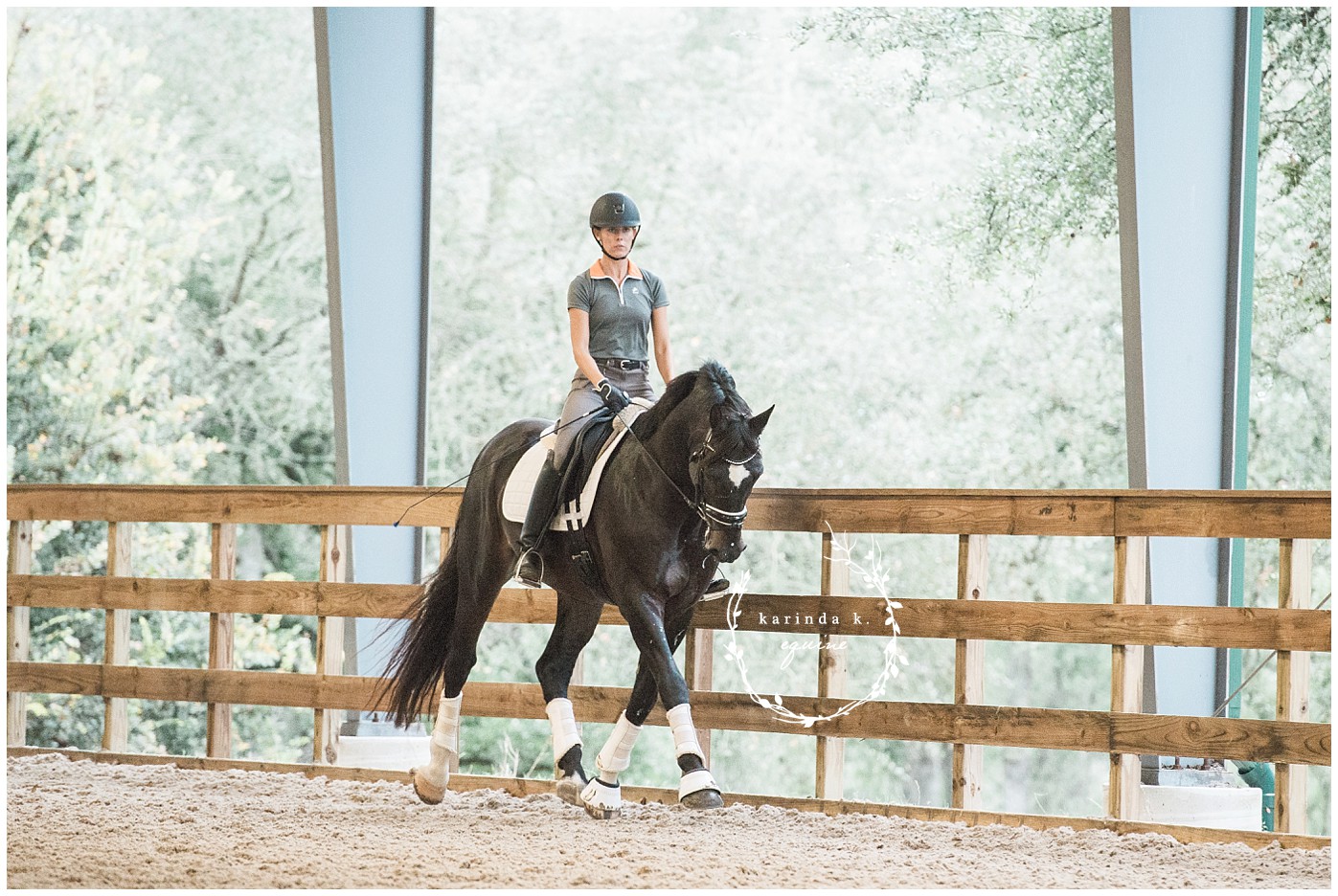 Ashley Shaw Dressage Esteban 