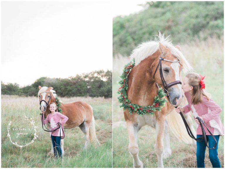 Christmas Horse Pictures